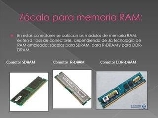 Zócalo para memoria RAM:En estos conectores se colocan los módulos de memoria RAM. exiten 3 tipos de conectores, dependiendo de ,la tecnología de RAM empleada: zócalos para SDRAM, para R-DRAM y para DDR-DRAM.Conector SDRAMConector  R-DRAMConector DDR-DRAM