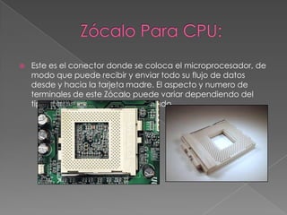 Zócalo Para CPU:Este es el conector donde se coloca el microprocesador, de modo que puede recibir y enviar todo su flujo de datos desde y hacia la tarjeta madre. El aspecto y numero de terminales de este Zócalo puede variar dependiendo del tipo de microprocesador empleado.