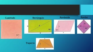 Cuadrado Rectángulo Romboide Rombo
Trapecio
 