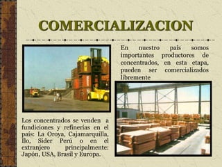 COMERCIALIZACION
Los concentrados se venden a
fundiciones y refinerías en el
país: La Oroya, Cajamarquilla,
Ilo, Sider Perú o en el
extranjero principalmente:
Japón, USA, Brasil y Europa.
En nuestro país somos
importantes productores de
concentrados, en esta etapa,
pueden ser comercializados
libremente
 