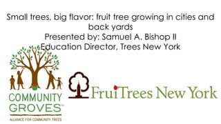 Small trees, big flavor: fruit tree growing in cities and 
back yards 
Presented by: Samuel A. Bishop II 
Education Director, Trees New York 
 