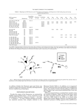 we address whether the Chamorro gene pool shows any
evidence of gene ﬂow from the culturally and linguistically
distinct neighboring archipelagoes.
PARTICIPANTS AND METHODS
To infer the origins of the Chamorros, we analyzed the
mtDNA hypervariable-region 1 (hvs1) sequences of 105
self-identiﬁed Chamorro volunteers (Guam n 5 85, Rota
n 5 6, Saipan n 5 14) and 17 Saipan islanders of Carolin-
ian maternal ancestry from samples collected in the
Marianas Islands (Table 1). In addition, we re-sequenced
the hvs1 sequences from 210 individuals from neighboring
Palau, Yap, and the Caroline Islands adding an additional
200 base pairs (bp) to previously published data (Lum and
Cann, 2000).
DNA was extracted from: (a) plucked hair samples using
the method of Higuchi (1989), (b) blood and tissue using
the silica extraction protocol of Boom et al. (1990), (Lum
and Cann, 2000; Lynch et al., 2008), or (c) blood using
Qiagen spin-column (Qiagen Valencia, CA) following man-
ufacturer’s protocol. A 405bp segment of the mtDNA hvs1
Fig. 2. Median-Joining network diagrams of 105 Chamorro lineages and their corresponding haplogroups E and B4. The asterisk refers to
mutation(s) in the coding region that are known to exist, but were not found on hvs1 sequencing alone.
TABLE 1. Haplotypes of 105 Chamorro and 17 Carolinian participants, and frequencies in both study group and among
neighboring populations
Guam/Rota
Saipan
OIY Yap Pal Amb Sul Bor PhiChamorro Chamorro CarolinianHVS1 mutations
(116,000) Haplogroup n 5 91 n 5 14 n 5 17 n 5 131 n 5 71 n 5 131 n 5 43 n 5 237 n 5 157 n 5 61
136, 189, 217, 260, 300 B4b1 0.01 (1)
189, 217, 261 B4a1a 0.12(2) 0.22 0.17 0.09 0.05 0.01 0.05 0.03
189, 217, 247, 261 B4a1a1a 0.41(7) 0.35 0.37 0.29 0.12 0.04 0.01
189, 217, 247, 261, 319 B4a1a1a 0.35(6) 0.19
189, 217, 247, 261, 269 B4a1a1a 0.06(1)
92, 189, 217, 247, 261 B4a1a1a 0.06(1)
114, 189, 217, 247, 261 B4a1a1a 0.08 (7)
223, 362, 390 E1 0.22 (20) 0.36(5) 0.03 0.02 0.07
223. 390 E1 0.01 (1)
129, 223, 362, 390 E1 0.01 (1)
223, 321, 362, 390 E1 0.01 (1)
215, 223, 261, 362, 390 E1 0.01 (1)
Other E1a Lineages E1 0.05 0.18 0.09 0.08
51, 223, 362, 390 E2 0.45 (41) 0.57(8) 0.01 0.05 0.01 0.03 0.03
51, 223, 362, 385, 390 E2 0.04 (4)
51, 223, 311, 362, 390 E2 0.04 (4)
51, 129, 223, 362, 390 E2 0.01 (1)
51, 93, 223, 362, 390 E2 0.01 (1)
51, 223, 302, 362, 390 E2 0.04 (4) 0.07(1)
51, 209, 223, 302, 362, 390 E2 0.04 (4)
Other E2 lineages E2 0.02
List of HVS 1 haplotypes found in Chamorros from Guam, Rota and Saipan; and Carolinians from Saipan. Also listed, populations from neighboring Micronesian
archipelagoes and Island Southeast Asia where identical haplotypes have been found. [OIY (Outer Islands of Yap); Yap; Pal (Palau); Amb (Ambon); Sul (Sulawesi);
Bor (Borneo); Phi (Philippines)] Frequencies are followed by the sample number (in parenthesis) for study population.
3THE GENETIC ORIGINS OF THE CHAMORROS
American Journal of Human Biology
 