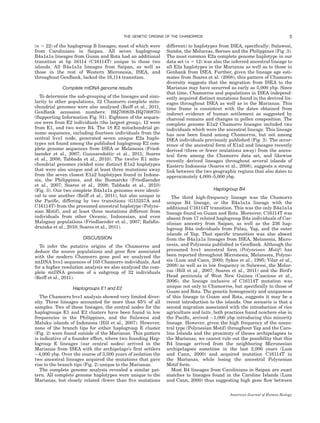(n 5 22) of the haplogroup B lineages, most of which were
from Carolinians in Saipan. All seven haplogroup
B4a1a1a lineages from Guam and Rota had an additional
transition at bp 16114 (C16114T) unique to those two
islands. All B4a1a1a lineages from Saipan, as well as
those in the rest of Western Micronesia, ISEA, and
throughout GenBank, lacked the 16,114 transition.
Complete mtDNA genome results
To determine the sub-grouping of the lineages and simi-
larity to other populations, 32 Chamorro complete mito-
chondrial genomes were also analyzed (Reiff et al., 2011,
GenBank accession numbers: HQ700839-HQ700870)
(Supporting Information Fig. S1). Eighteen of the sequen-
ces were from E2 individuals (the largest group), 12 were
from E1, and two were B4. The 18 E2 mitochondrial ge-
nome sequences, including fourteen individuals from the
central hvs1 node, generated seven unique E2a haplo-
types not found among the published haplogroup E2 com-
plete genome sequences from ISEA or Melanesia (Fried-
laender et al., 2007; Gunnarsdottir et al., 2011; Soares
et al., 2008; Tabbada et al., 2010). The twelve E1 mito-
chondrial genomes yielded nine distinct E1a2 haplotypes
that were also unique and at least three mutations away
from the seven closest E1a2 haplotypes found in Indone-
sia, the Philippines, and the Bismarcks (Friedlaender
et al., 2007; Soares et al., 2008; Tabbada et al., 2010)
(Fig. 3). Our two complete B4a1a1a genomes were identi-
cal to one another (Reiff et al., 2011), but also unique in
the Paciﬁc, differing by two transitions (G15257A and
C16114T) from the presumed ancestral haplotype (Polyne-
sian Motif), and at least three mutations different from
individuals from other Oceanic, Indonesian, and even
Malagasy populations (Friedlaender et al., 2007; Rafaﬁn-
drazaka et al., 2010; Soares et al., 2011).
DISCUSSION
To infer the putative origins of the Chamorros and
deduce the source populations and gene ﬂow associated
with the modern Chamorro gene pool we analyzed the
mtDNA hvs1 sequences of 105 Chamorro individuals. And
for a higher resolution analysis we also analyzed the com-
plete mtDNA genome of a subgroup of 32 individuals
(Reiff et al., 2011).
Haplogroups E1 and E2
The Chamorro hvs1 analysis showed very limited diver-
sity. Three lineages accounted for more than 65% of all
samples. Two of these lineages, the central nodes for the
haplogroups E1 and E2 clusters have been found in low
frequencies in the Philippines, and the Sulawesi and
Maluku islands of Indonesia (Hill et al., 2007). However,
none of the branch tips for either haplogroup E cluster
(Fig. 2) were found outside of the Marianas. This pattern
is indicative of a founder effect, where two founding Hap-
logroup E lineages (our central nodes) arrived in the
Marianas from ISEA with the archipelago’s ﬁrst settlers
4,000 ybp. Over the course of 3,500 years of isolation the
two ancestral lineages acquired the mutations that gave
rise to the branch tips (Fig. 2) unique to the Marianas.
The complete genome analysis revealed a similar pat-
tern. All complete genome haplotypes were unique to the
Marianas, but closely related (fewer than ﬁve mutations
different) to haplotypes from ISEA, speciﬁcally: Sulawesi,
Sumba, the Moluccas, Borneo and the Philippines (Fig. 3).
The most common E2a complete genome haplotype in our
data set (n 5 12) was also the inferred ancestral lineage to
all E2a haplotypes in the Marianas as well as to those in
Genbank from ISEA. Further, given the lineage age esti-
mates from Soares et al. (2008), this pattern of Chamorro
diversity suggests that the migration from ISEA to the
Marianas may have occurred as early as 5,000 ybp. Since
that time, Chamorros and populations in ISEA independ-
ently acquired distinct mutations found in the derived lin-
eages throughout ISEA as well as in the Marianas. This
time frame is consistent with the dates obtained from
indirect evidence of human settlement as suggested by
charcoal remains and changes in pollen composition. The
complete genome E1a2 Chamorro lineages included two
individuals which were the ancestral lineage. This lineage
has now been found among Chamorros, but not among
ISEA individuals previously published (Fig. 3). The occur-
rence of the ancestral form of E1a2 and lineages recently
derived (three or fewer mutations away) from the ances-
tral form among the Chamorro data set, and likewise
recently derived lineages throughout several islands of
Eastern Indonesia (Soares et al., 2008), suggests a strong
link between the two geographic regions that also dates to
approximately 4,000–5,000 ybp.
Haplogroup B4
The third high-frequency lineage was the Chamorro
unique B4 lineage, or the B4a1a1a lineage with the
additional C16114T transition. This was the only B4a1a1a
lineage found on Guam and Rota. Moreover, C16114T was
absent from 17 related haplogroup B4a individuals of Car-
olinian ancestry from Saipan, as well as the 236 hap-
logroup B4a individuals from Palau, Yap, and the outer
islands of Yap. That speciﬁc transition was also absent
from the B4a1a1a lineages from ISEA, Melanesia, Micro-
nesia, and Polynesia published in GenBank. Although the
presumed hvs1 ancestral form (Polyneisan Motif) has
been reported throughout Micronesia, Melanesia, Polyne-
sia (Lum and Cann, 2000; Sykes et al., 1995; Vilar et al.,
2008) as well as in low frequency in Sulawesi, the Moluc-
cas (Hill et al., 2007; Soares et al., 2011) and the Bird’s
Head peninsula of West New Guinea (Cascione et al.,
2006), the lineage inclusive of C16114T mutation was
unique not only to Chamorros, but speciﬁcally to those of
Guam and Rota. The genetic homogeneity and uniqueness
of this lineage to Guam and Rota, suggests it may be a
recent introduction to the islands. One scenario is that a
second migration associated with the introduction of rice
agriculture and latte, both practices found nowhere else in
the Paciﬁc, arrived 1,000 ybp introducing this minority
lineage. However, given the high frequency of the ances-
tral type (Polynesian Motif) throughout Yap and the Caro-
line Islands and the proximity of theses archipelagoes to
the Marianas, we cannot rule out the possibility that this
B4 lineage arrived from the neighboring Micronesian
archipelagoes sometime in the last 2,000 years (Lum
and Cann, 2000) and acquired mutation C16114T in
the Marianas, while losing the ancestral Polynesian
Motif form.
Most B4 lineages from Carolinians in Saipan are exact
matches to lineages found in the Caroline Islands (Lum
and Cann, 2000) thus suggesting high gene ﬂow between
5THE GENETIC ORIGINS OF THE CHAMORROS
American Journal of Human Biology
 