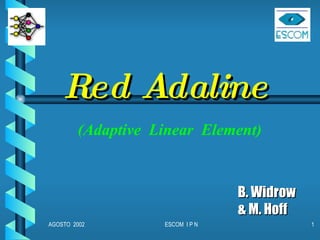 Red Adaline B. Widrow  & M. Hoff (Adaptive  Linear  Element) 