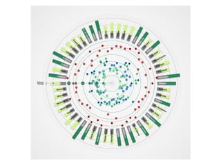 Gaining understanding from data visualization - Adam Bly | PDF