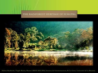 THE RAINFOREST HERITAGE OF SUMATRA
Hélène Boulloche, Virgile Manin, Master 1 BEST 2013/2014, Sciences de l’environnement, M. Le Corre. Université de La Réunion.
 