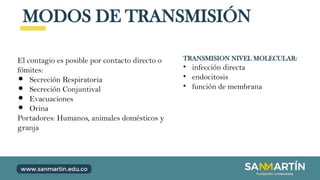 MODOS DE TRANSMISIÓN
El contagio es posible por contacto directo o
fómites:
● Secreción Respiratoria
● Secreción Conjuntival
● Evacuaciones
● Orina
Portadores: Humanos, animales domésticos y
granja
TRANSMISION NIVEL MOLECULAR:
• infección directa
• endocitosis
• función de membrana
 