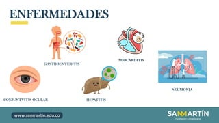 ENFERMEDADES
CONJUNTVITIS OCULAR
GASTROENTERITIS
HEPATITIS
MIOCARDITIS
NEUMONIA
 