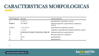 CARACTERSTICAS MORFOLOGICAS
 