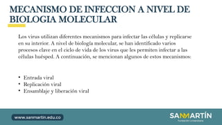 MECANISMO DE INFECCION A NIVEL DE
BIOLOGIA MOLECULAR
Los virus utilizan diferentes mecanismos para infectar las células y replicarse
en su interior. A nivel de biología molecular, se han identificado varios
procesos clave en el ciclo de vida de los virus que les permiten infectar a las
células huésped. A continuación, se mencionan algunos de estos mecanismos:
• Entrada viral
• Replicación viral
• Ensamblaje y liberación viral
 