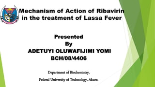 Mechanism of Action of Ribavirin
in the treatment of Lassa Fever
Presented
By
ADETUYI OLUWAFIJIMI YOMI
BCH/08/4406
Department of Biochemistry,
Federal University of Technology, Akure.
 