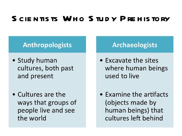 1a disciplines in social studies