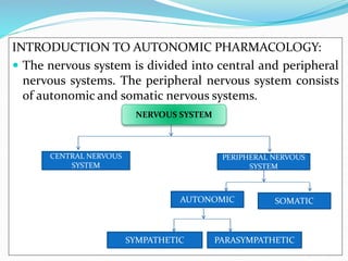 INTRODUCTION TO AUTONOMIC PHARMACOLOGY:
 The nervous system is divided into central and peripheral
nervous systems. The peripheral nervous system consists
of autonomic and somatic nervous systems.
CENTRAL NERVOUS
SYSTEM
PERIPHERAL NERVOUS
SYSTEM
AUTONOMIC SOMATIC
PARASYMPATHETIC
SYMPATHETIC
NERVOUS SYSTEM
 