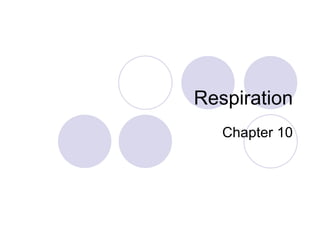 Respiration Chapter 10 