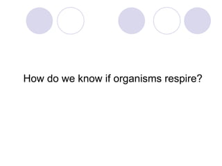 How do we know if organisms respire? 