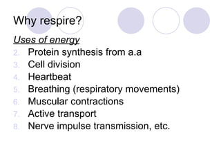 Why respire? <ul><li>Uses of energy </li></ul><ul><li>Protein synthesis from a.a </li></ul><ul><li>Cell division </li></ul...