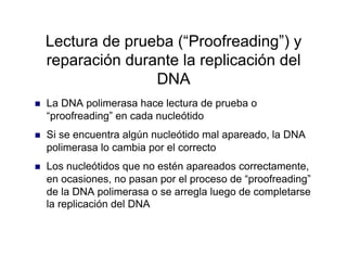Lectura de prueba (“Proofreading”) y
reparación durante la replicación del
DNA
  La DNA polimerasa hace lectura de prueba o
“proofreading” en cada nucleótido
  Si se encuentra algún nucleótido mal apareado, la DNA
polimerasa lo cambia por el correcto
  Los nucleótidos que no estén apareados correctamente,
en ocasiones, no pasan por el proceso de “proofreading”
de la DNA polimerasa o se arregla luego de completarse
la replicación del DNA
 