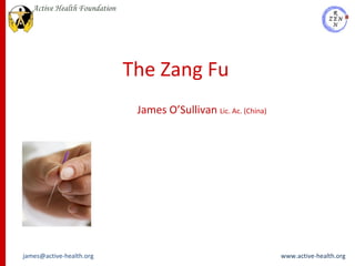 The Zang Fu James O’Sullivan  Lic. Ac. (China) 