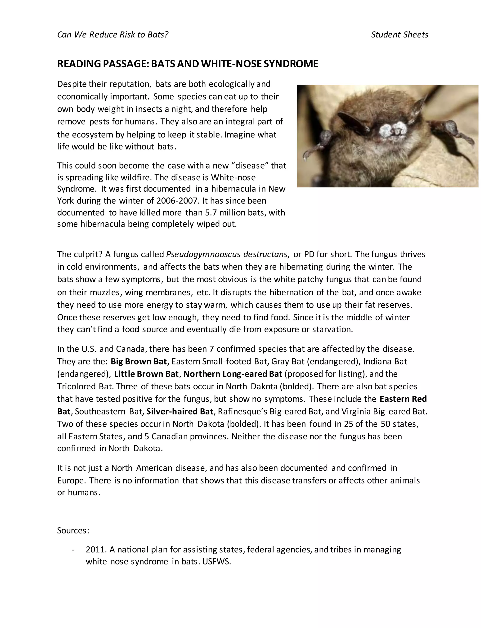 READING PASSAGE WHITE NOSE SYNDROME | DOCX
