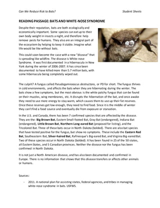 Can We Reduce Risk to Bats? Student Sheets
READING PASSAGE:BATS AND WHITE-NOSESYNDROME
Despite their reputation, bats are both ecologically and
economically important. Some species can eat up to their
own body weight in insects a night, and therefore help
remove pests for humans. They also are an integral part of
the ecosystem by helping to keep it stable. Imagine what
life would be like without bats.
This could soon become the case with a new “disease” that
is spreading like wildfire. The disease is White-nose
Syndrome. It was first documented in a hibernacula in New
York during the winter of 2006-2007. It has since been
documented to have killed more than 5.7 million bats, with
some hibernacula being completely wiped out.
The culprit? A fungus called Pseudogymnoascus destructans, or PD for short. The fungus thrives
in cold environments, and affects the bats when they are hibernating during the winter. The
bats show a few symptoms, but the most obvious is the white patchy fungus that can be found
on their muzzles, wing membranes, etc. It disrupts the hibernation of the bat, and once awake
they need to use more energy to stay warm, which causes them to use up their fat reserves.
Once these reserves get low enough, they need to find food. Since it is the middle of winter
they can’t find a food source and eventually die from exposure or starvation.
In the U.S. and Canada, there has been 7 confirmed species that are affected by the disease.
They are the: Big Brown Bat, Eastern Small-footed Bat, Gray Bat (endangered), Indiana Bat
(endangered), Little Brown Bat, Northern Long-eared Bat (proposed for listing), and the
Tricolored Bat. Three of these bats occur in North Dakota (bolded). There are also bat species
that have tested positive for the fungus, but show no symptoms. These include the Eastern Red
Bat, Southeastern Bat, Silver-haired Bat, Rafinesque’s Big-eared Bat, and Virginia Big-eared Bat.
Two of these species occur in North Dakota (bolded). It has been found in 25 of the 50 states,
all Eastern States, and 5 Canadian provinces. Neither the disease nor the fungus has been
confirmed in North Dakota.
It is not just a North American disease, and has also been documented and confirmed in
Europe. There is no information that shows that this disease transfers or affects other animals
or humans.
Sources:
- 2011. A national plan for assisting states, federal agencies, and tribes in managing
white-nose syndrome in bats. USFWS.
 