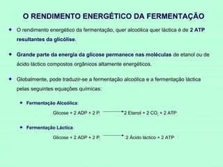 O RENDIMENTO ENERGÉTICO DA FERMENTAÇÃO
O rendimento energético da fermentação, quer alcoólica quer láctica é de 2 ATP
resultantes da glicólise.
Grande parte da energia da glicose permanece nas moléculas de etanol ou de
ácido láctico compostos orgânicos altamente energéticos.
Globalmente, pode traduzir-se a fermentação alcoólica e a fermentação láctica
pelas seguintes equações químicas:
Fermentação Alcoólica:
Glicose + 2 ADP + 2 Pi

2 Etanol + 2 CO 2 + 2 ATP

Fermentação Láctica:
Glicose + 2 ADP + 2 Pi

2 Ácido láctico + 2 ATP

 