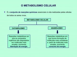 O METABOLISMO CELULAR
É o conjunto de reacções químicas essenciais à vida realizadas pelas células
de todos os seres vivos.
METABOLISMO CELULAR

CATABOLISMO

Reacções metabólicas em
que os compostos
orgânicos são degradados
em moléculas mais
simples, ocorrendo
libertação de energia.

ANABOLISMO

Reacções metabólicas em
que ocorre formação de
moléculas mais complexas
a partir de moléculas mais
simples, ocorrendo
consumo de energia.

 