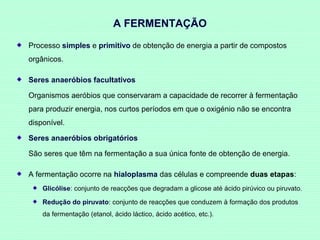 A FERMENTAÇÃO
Processo simples e primitivo de obtenção de energia a partir de compostos
orgânicos.
Seres anaeróbios facultativos
Organismos aeróbios que conservaram a capacidade de recorrer à fermentação
para produzir energia, nos curtos períodos em que o oxigénio não se encontra
disponível.
Seres anaeróbios obrigatórios
São seres que têm na fermentação a sua única fonte de obtenção de energia.
A fermentação ocorre na hialoplasma das células e compreende duas etapas:
Glicólise: conjunto de reacções que degradam a glicose até ácido pirúvico ou piruvato.
Redução do piruvato: conjunto de reacções que conduzem à formação dos produtos
da fermentação (etanol, ácido láctico, ácido acético, etc.).

 