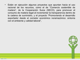 • Están en ejecución algunos proyectos que apuntan hacia el uso
racional de los recursos, como el de “Comercio sostenible de
madera”, de la Cooperación Suiza (SECO), para promover el
consumo de madera legal al incrementar la transparencia dentro de
la cadena de suministro, y el proyecto “Promoviendo el desarrollo
exportador desde el corredor económico noramazónico: sintonía
con el ambiente y calidad laboral”,
 