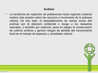 Análisis
• La tendencia de migración de poblaciones hacia regiones costeras
implica más presión sobre los recursos e incremento de la pobreza
urbana. De otro lado, el despoblamiento de ciertas zonas alto
andinas por el deterioro ambiental o riesgo a los desastres
naturales, o también por violencia, pone en peligro la conservación
de cultivos andinos y genera riesgos de pérdida del conocimiento
local en el manejo de especies y variedades nativas
 