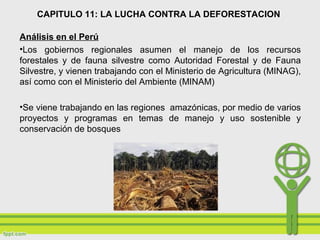 Análisis en el Perú
•Los gobiernos regionales asumen el manejo de los recursos
forestales y de fauna silvestre como Autoridad Forestal y de Fauna
Silvestre, y vienen trabajando con el Ministerio de Agricultura (MINAG),
así como con el Ministerio del Ambiente (MINAM)
•Se viene trabajando en las regiones amazónicas, por medio de varios
proyectos y programas en temas de manejo y uso sostenible y
conservación de bosques
CAPITULO 11: LA LUCHA CONTRA LA DEFORESTACION
 