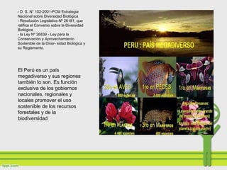 - D. S. N° 102-2001-PCM Estrategia
Nacional sobre Diversidad Biológica
- Resolución Legislativa Nº 26181, que
ratifica el Convenio sobre la Diversidad
Biológica
- la Ley Nº 26839 - Ley para la
Conservación y Aprovechamiento
Sostenible de la Diver- sidad Biológica y
su Reglamento.
El Perú es un país
megadiverso y sus regiones
también lo son. Es función
exclusiva de los gobiernos
nacionales, regionales y
locales promover el uso
sostenible de los recursos
forestales y de la
biodiversidad
 