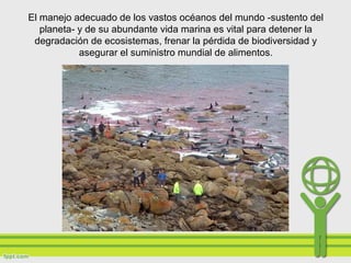 El manejo adecuado de los vastos océanos del mundo -sustento del
planeta- y de su abundante vida marina es vital para detener la
degradación de ecosistemas, frenar la pérdida de biodiversidad y
asegurar el suministro mundial de alimentos.
 