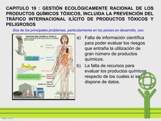 CAPITULO 19 : GESTIÓN ECOLÓGICAMENTE RACIONAL DE LOS
PRODUCTOS QUÍMICOS TÓXICOS, INCLUIDA LA PREVENCIÓN DEL
TRÁFICO INTERNACIONAL ILÍCITO DE PRODUCTOS TÓXICOS Y
PELIGROSOS
a) Falta de información científica
para poder evaluar los riesgos
que entraña la utilización de
gran número de productos
químicos.
b) La falta de recursos para
evaluar los productos químicos
respecto de los cuales sí se
dispone de datos.
Dos de los principales problemas, particularmente en los países en desarrollo, son:
 