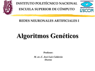 INSTITUTO POLITÉCNICO NACIONAL ESCUELA SUPERIOR DE CÓMPUTO Profesor: M. en .C. José Luis Calderón Osorno Algoritmos Genéticos REDES NEURONALES ARTIFICIALES I 