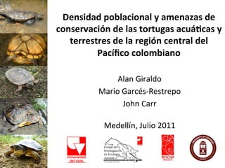 Densidad	
  poblacional	
  y	
  amenazas	
  de	
  
conservación	
  de	
  las	
  tortugas	
  acuá8cas	
  y	
  
   terrestres	
  de	
  la	
  región	
  central	
  del	
  
          Pacíﬁco	
  colombiano	
  

                   Alan	
  Giraldo	
  
              Mario	
  Garcés-­‐Restrepo	
  
                       John	
  Carr	
  
                              	
  
                Medellín,	
  Julio	
  2011	
  
 