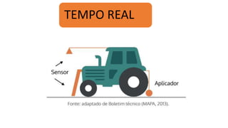 TEMPO REAL
 