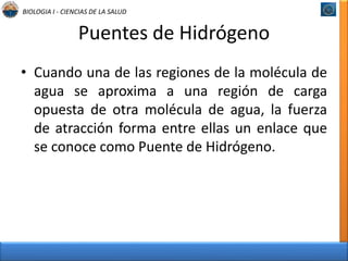 BIOLOGIA I - CIENCIAS DE LA SALUD 
Puentes de Hidrógeno 
• Cuando una de las regiones de la molécula de 
agua se aproxima a una región de carga 
opuesta de otra molécula de agua, la fuerza 
de atracción forma entre ellas un enlace que 
se conoce como Puente de Hidrógeno. 
 