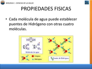 BIOLOGIA I - CIENCIAS DE LA SALUD 
PROPIEDADES FISICAS 
• Cada molécula de agua puede establecer 
puentes de Hidrógeno con otras cuatro 
moléculas. 
 