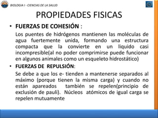BIOLOGIA I - CIENCIAS DE LA SALUD 
PROPIEDADES FISICAS 
• FUERZAS DE COHESIÓN : 
Los puentes de hidrógenos mantienen las moléculas de 
agua fuertemente unida, formando una estructura 
compacta que la convierte en un liquido casi 
incompresible(al no poder comprimirse puede funcionar 
en algunos animales como un esqueleto hidrostático) 
• FUERZAS DE REPULSIÓN: 
Se debe a que los e- tienden a mantenerse separados al 
máximo (porque tienen la misma carga) y cuando no 
están apareados también se repelen(principio de 
exclusión de pauli). Núcleos atómicos de igual carga se 
repelen mutuamente 
 