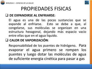 BIOLOGIA I - CIENCIAS DE LA SALUD 
PROPIEDADES FISICAS 
 DE EXPANDIRSE AL ENFRIARSE: 
El agua es una de las pocas sustancias que se 
expande al enfriarse. Esto se debe a que, al 
congelarse, sus moléculas se organizan en una 
estructura hexagonal, dejando más espacio vacio 
entre ellas que en el agua liquido. 
 CALOR DE VAPORIZACIÓN: 
Responsabilidad de los puentes de hidrógeno. Para 
evaporar el agua primero se rompen los 
puentes y luego dotar las moléculas de agua 
de suficiente energia cinética para pasar a gas 
 