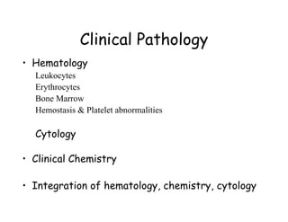 Clinical Pathology
• Hematology
Leukocytes
Erythrocytes
Bone Marrow
Hemostasis & Platelet abnormalities
Cytology
• Clinical Chemistry
• Integration of hematology, chemistry, cytology
 