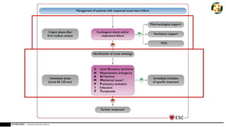 Acute heart failure diagnosis and early management | PPTX
