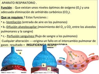 APARATO RESPIRATORIO .
Función : Que existan unos niveles óptimos de oxígeno (O2) y una
adecuada eliminación de anhídrido carbónico (CO2).
Que se requiere ? Estas funciones :
• a.-Ventilación (entrada de aire en los pulmones)
• b.-Difusión alveolocapilar (movimiento del O2 y CO2 entre los alveolos
pulmonares y la sangre)
• c.- Perfusión sanguínea (flujo de sangre a los pulmones)
Cualquier alteración ----origina un fallo en el intercambio pulmonar de
gases resultado = INSUFICIENCIA RESPIRATORIA.
a
b
c
 