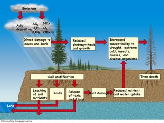 Emissions
SO2
H2O2
PANs
NOx
Acid
deposition O3
Others
Direct damage to
leaves and bark
Reduced
photosynthesis
and growth
Increased
susceptibility to
drought, extreme
cold, insects,
mosses, and
disease organisms
Soil acidification Tree death
Leaching
of soil
nutrients
Release
of toxic
metal ions
Root damage
Reduced nutrient
and water uptakeAcids
Lake
 