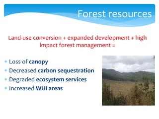Forest resources 
Land-use conversion + expanded development + high 
impact forest management = 
 Loss of canopy 
 Decreased carbon sequestration 
 Degraded ecosystem services 
 Increased WUI areas 
 