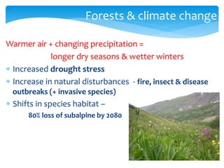 Forests & climate change 
Warmer air + changing precipitation = 
longer dry seasons & wetter winters 
 Increased drought stress 
 Increase in natural disturbances - fire, insect & disease 
outbreaks (+ invasive species) 
 Shifts in species habitat – 
80% loss of subalpine by 2080 
 