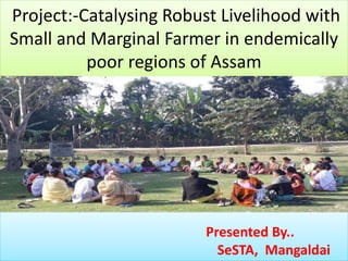 Project:-Catalysing Robust Livelihood with
Small and Marginal Farmer in endemically
poor regions of Assam
Presented By..
SeSTA, Mangaldai
 