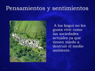 Pensamientos y sentimientos A los kogui no les gusta vivir como las sociedades actuales ya que tienen miedo a destruir el medio ambiente.  