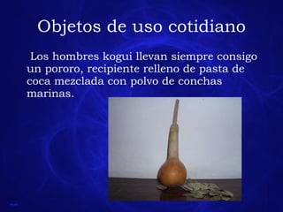Objetos de uso cotidiano Los hombres kogui llevan siempre consigo un pororo, recipiente relleno de pasta de coca mezclada con polvo de conchas marinas. 