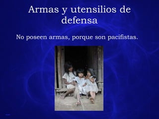 Armas y utensilios de defensa No poseen armas, porque son pacifistas. 